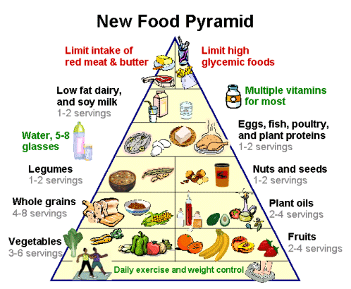 food pyramid for children