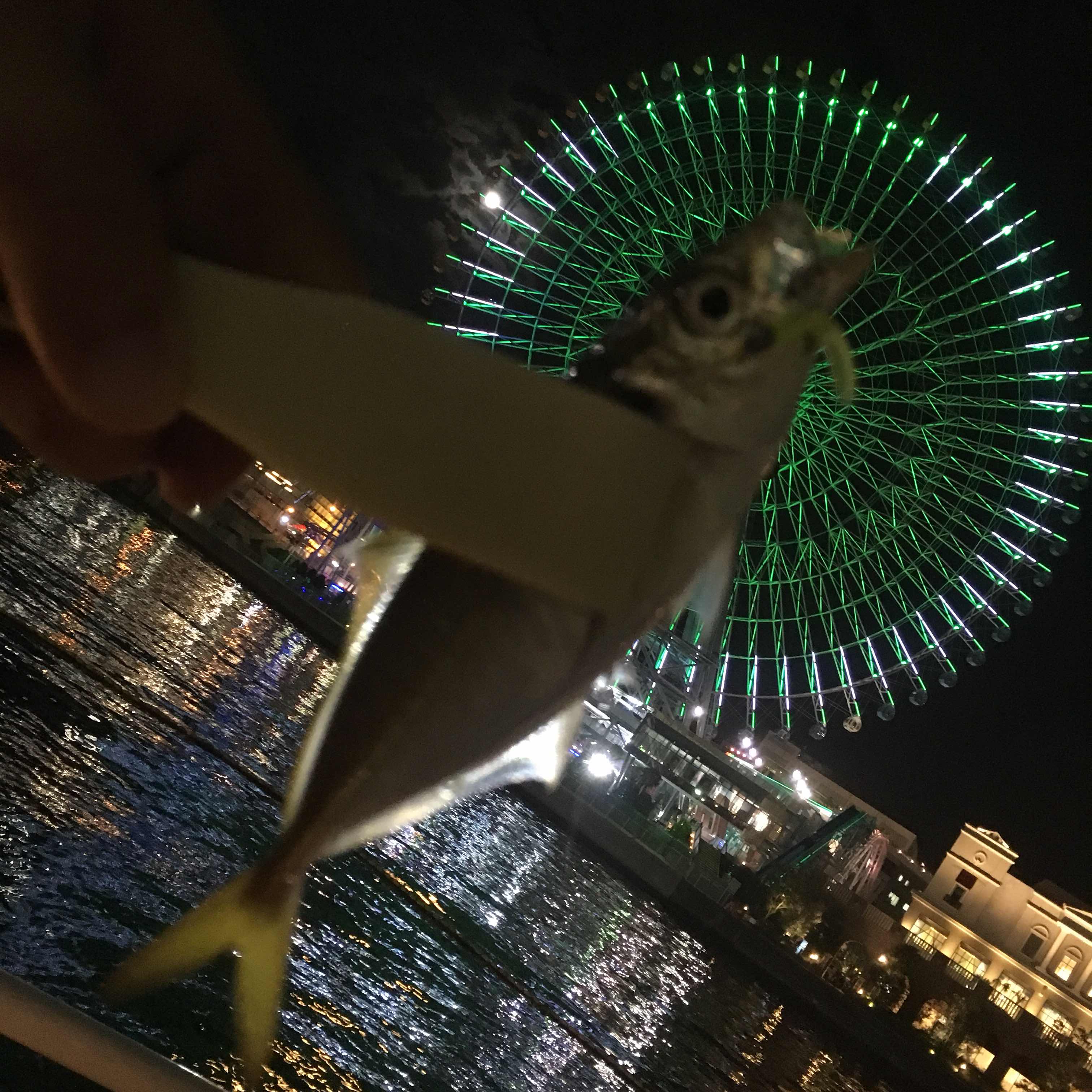 みなとみらい 初アジング 結構釣れた 浜男 ハマー の釣りの細道