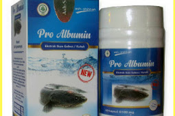 Jual Kapsul Pro Albumin Di Bangka | WA : 0857-4839-4402