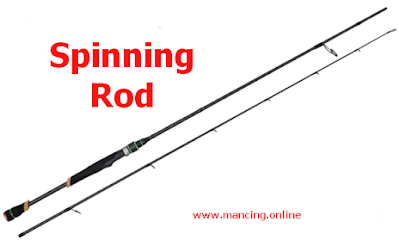 spinning rod joran spinning