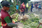 Polisi dan TNI Bersama Warga Gotong Royong Tangani Bencana Angin Kencang Landa 3 Desa di Tulungagung