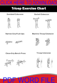 Tricep Exercises