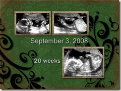 20 weeks