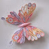 Beautiful pink butterfly