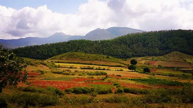 A Beautiful View of Nature at Damanjodi