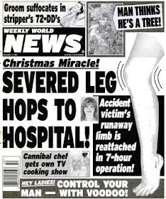 stilton’s place, stilton, political, humor, conservative, cartoons, jokes, hope n’ change, weekly world news, headlines, fake news, christie, iceberg