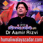 http://www.humaliwalayazadar.com/2013/01/dr-amir-rizvi-nohay-2007-to-2010.html