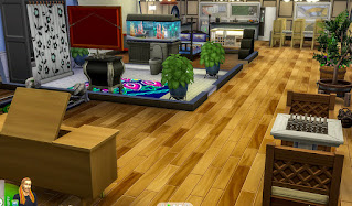 Gameplay des Sims 4