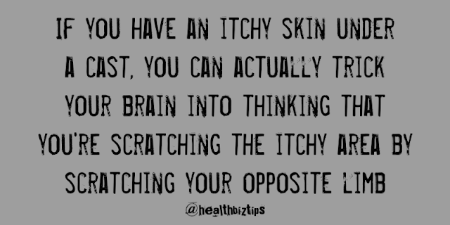 10 Health Facts & Tips: If you have an itchy skin under a cast, you can actually trick your brain into thinking that you're scratching the itchy area by scratching your opposite limb.