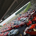 World's Longest Parade of Ferrari Cars