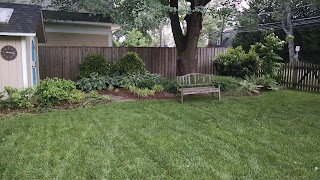 thick green lawn, privacy created by wooden fencing, neat garden borders with hostas and other bushes, wooden bench