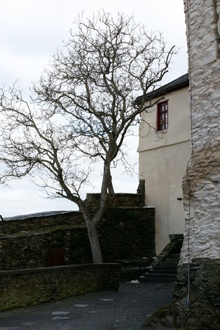 IMG_2212 (2)