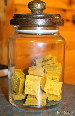 Stored in a dog proof jar