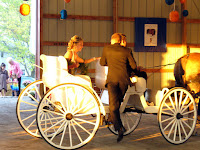 Entering Wedding in a Carriage