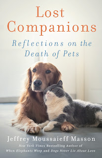 Lost Companions Reflections on the Death of Pets