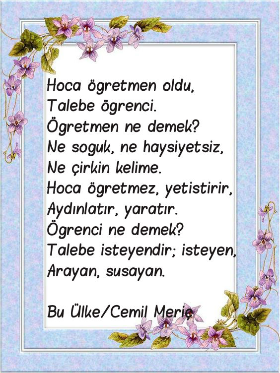 Bu Ülke, Cemil Meriç