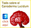 Ganoderma Lucidum
