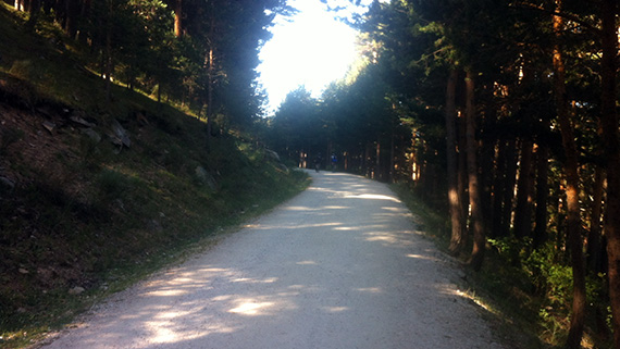 Unas fotos de nuestra ruta por el Carril del Gallo y el Eresma - Julio 2013