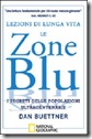 zoneblu