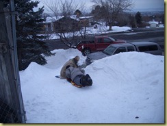 Sledding 1_2_10 010