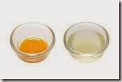 seperated egg yolk and egg white