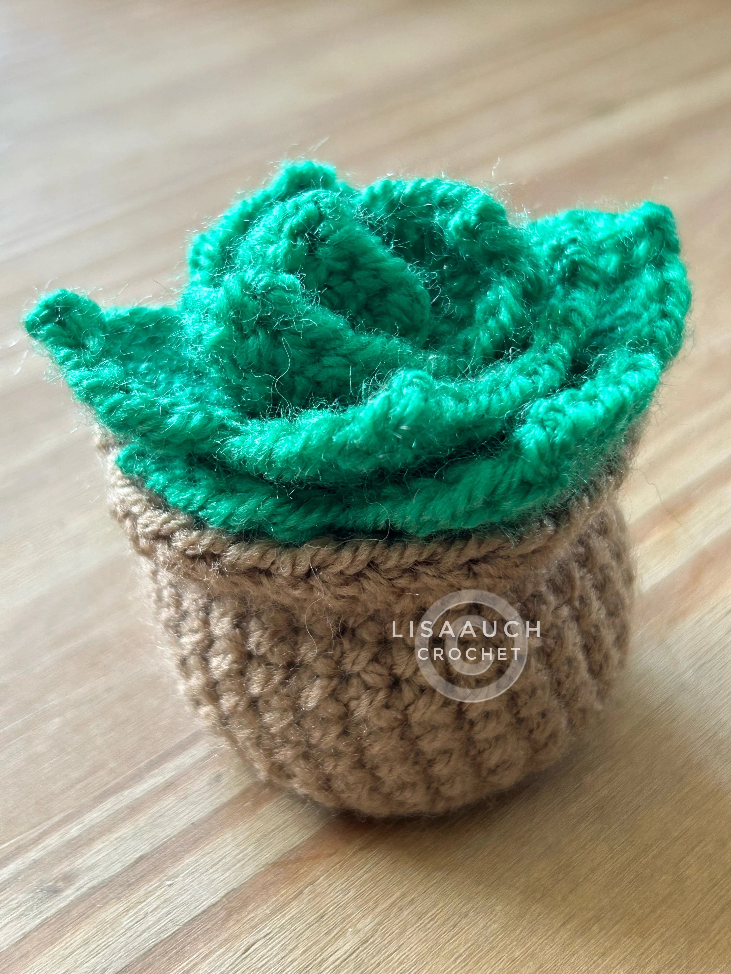 crochet succulent, hanging plants crochet patterns free