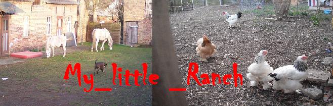 My_little_Ranch