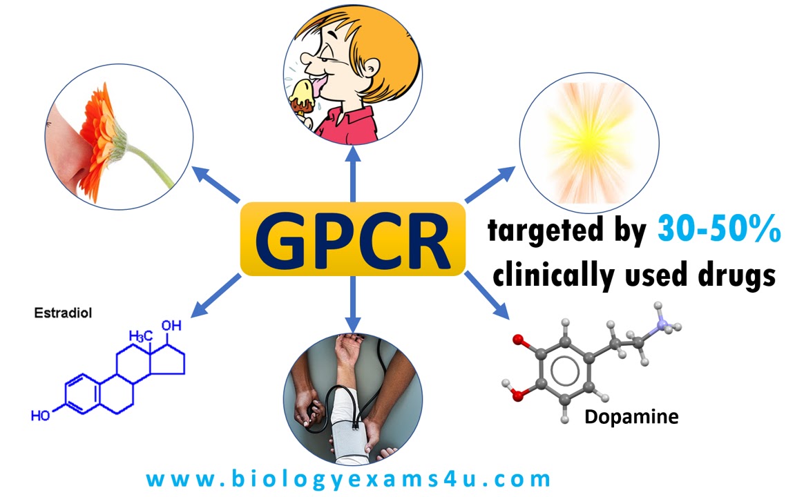 Ligands of GPCR