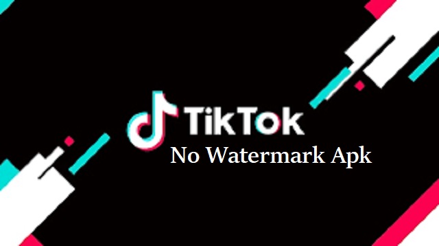 TikTok No Watermark Apk