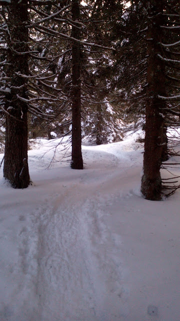 Ciaspolata a Monte Maggio, ciaspole, Folgaria