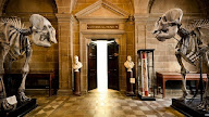 MIMPI MUSEUM (Menurut Primbon)