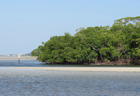 Bunche Beach, Florida