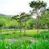 2023花蓮豐濱後湖水月春季一片青綠【園區環境篇】