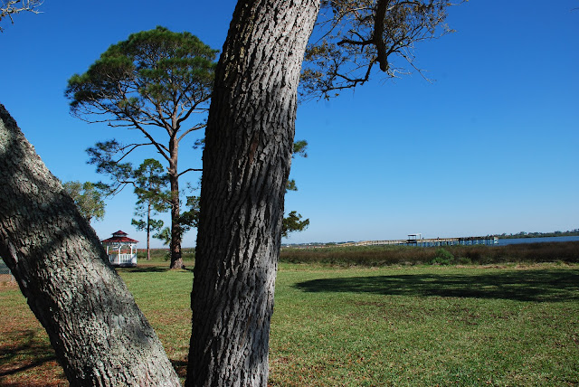 Shores Blvd