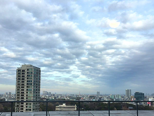 東京大学医学部附属病院15階にあるレストラン『ブルークレール精養軒』から上野方面を眺める