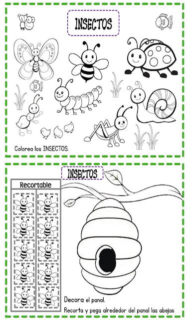 cuaderno-fichas-trabajar-animales-preescolar