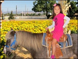 IMG_0481LR