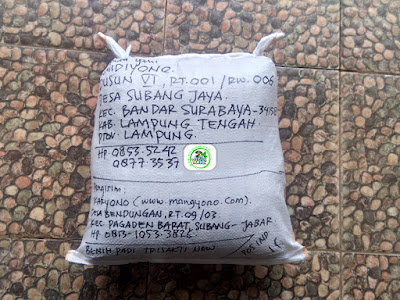 Benih padi yang dibeli   SUMIDIYONO Lamteng, Lampung.  (Setelah packing karung ). 