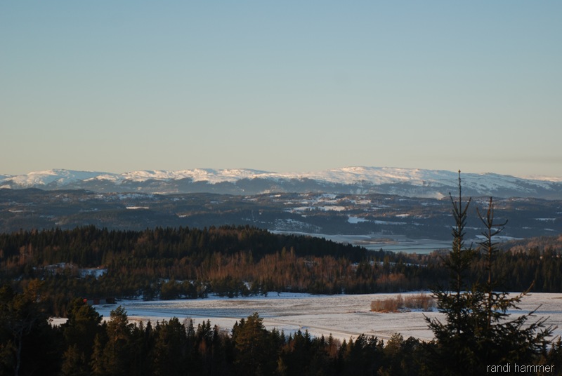 DSC_0096