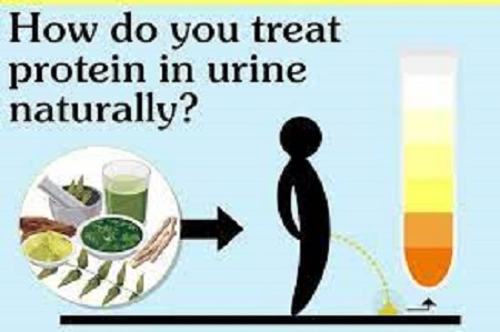what foods reduce protein in urine