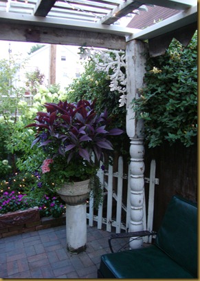 DSC03201