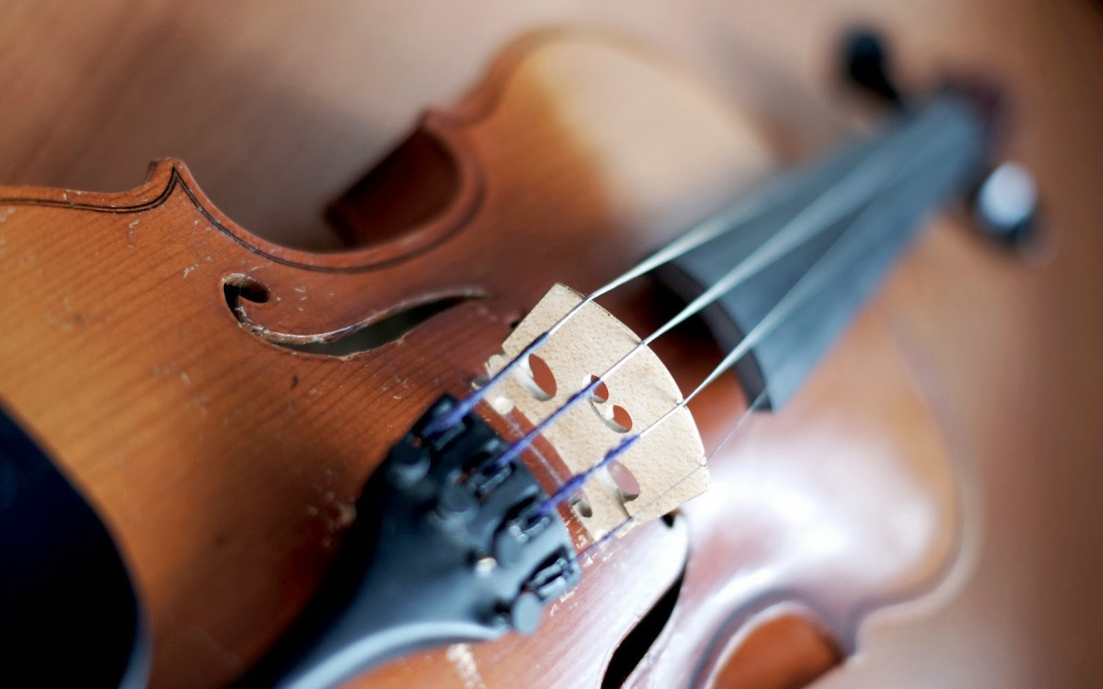 HD Wallpapers Pics: Violin Pictures