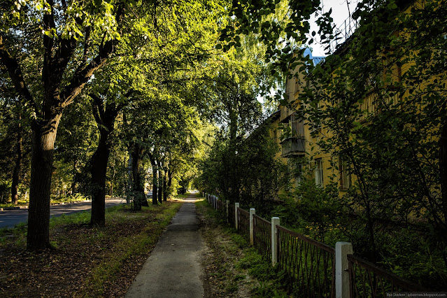 Пешеходная дорожка в тени деревьев, вдоль дороги