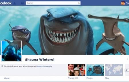 Facebook Timeline