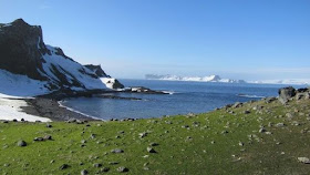 Antarctica Flora