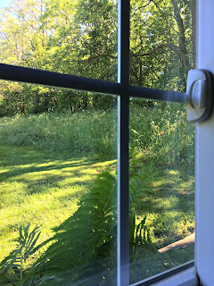 Looking out the yoga barn window