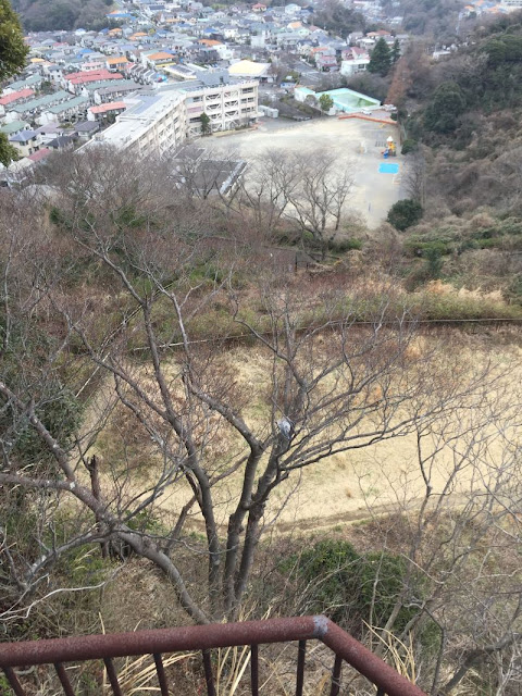 鷹取山で風に飛ばされ枝に引っかかった帽子
