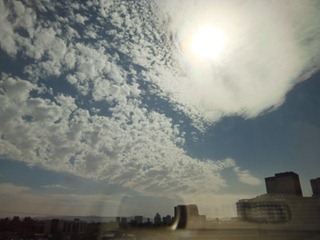 010dev-DSCF5151