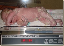 DSC04760