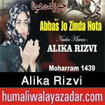 http://www.humaliwalayazadar.com/2017/08/alika-rizvi-nohay-2018.html